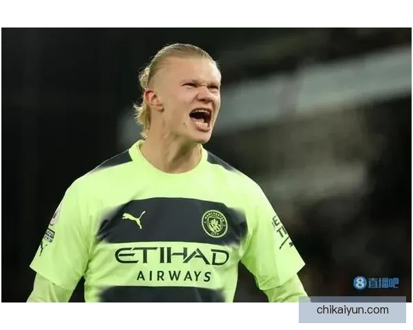 哈兰德进球效率王